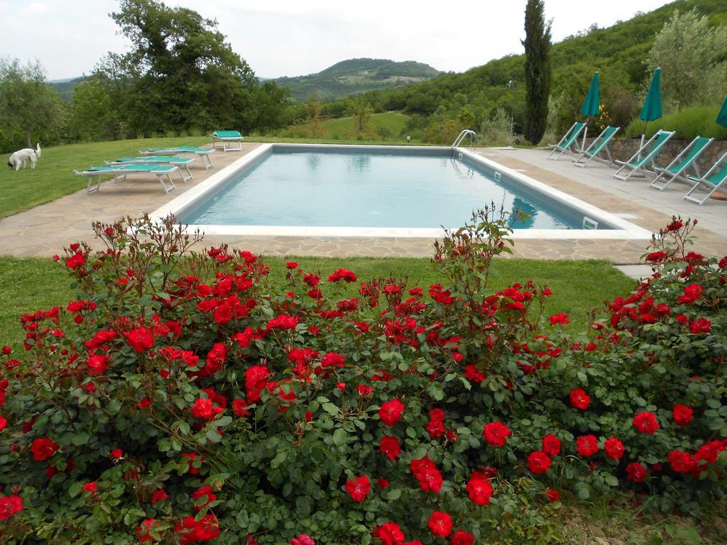 Villa Agriturismo Erta Casole dʼElsa Exterior foto