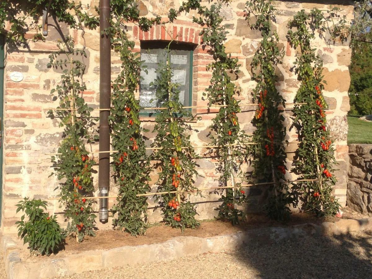 Villa Agriturismo Erta Casole dʼElsa Exterior foto